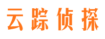 桃城市侦探公司